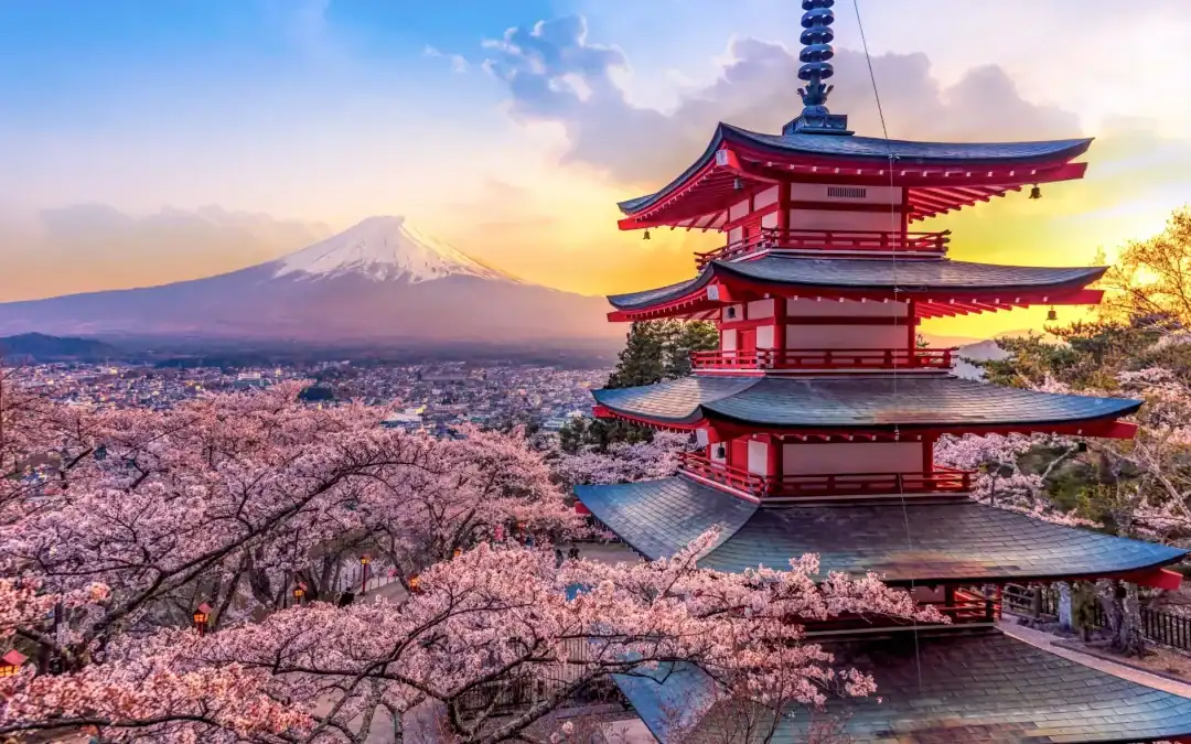Japón y sus contrastes