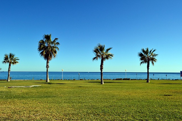 OFERTA Mojácar Verano 2025