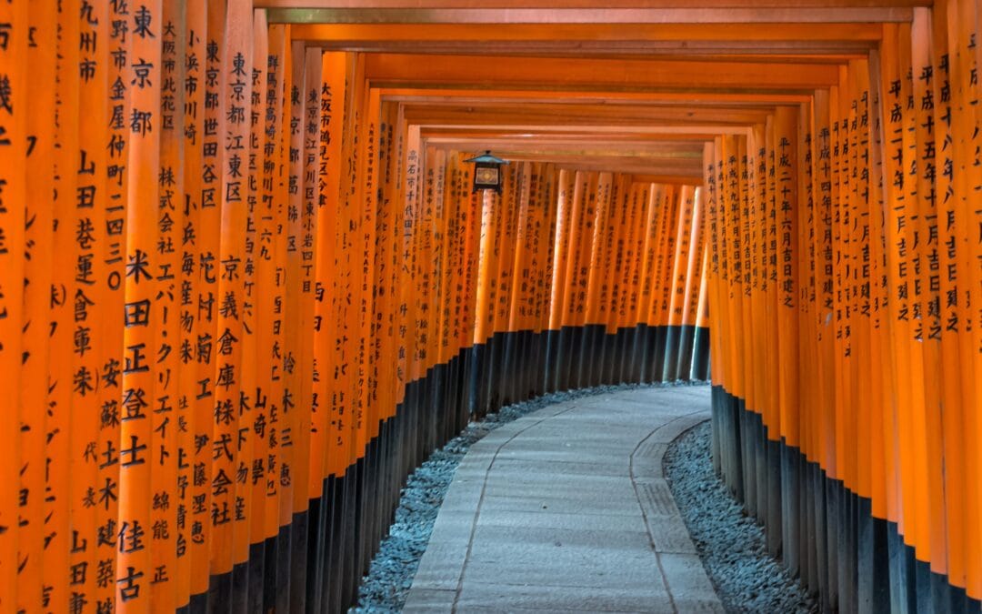 Japón y sus contrastes
